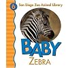 Baby Zebra (San Diego Zoo Animal Library)