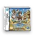 Dragon Quest IX: Sentinels of the Starry Skies (Nintendo DS)