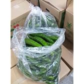 きゅうり　佐賀県産　規格外品　1ケース約5kg入