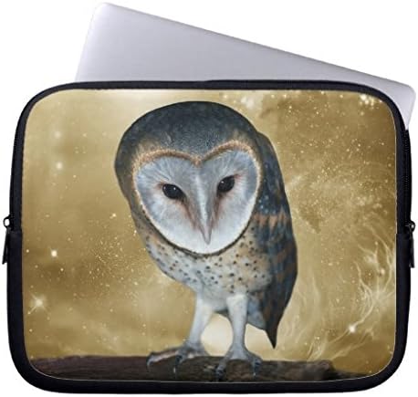 Eratio Cute little Barn Owl Fantasy Laptop Sleeve 13 Inch Macbook Air Case Macbook Pro Sleeve and 13 Inch Laptop Bag
