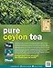 Dilmah, Fun Tea, Single Origin Pure Ceylon, Mango & Strawberry, 20 Count String & Tag, (Pack of 6)