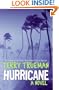 Hurricane: A Novel