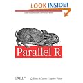 Parallel R