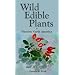 Wild Edible Plants of Western North America