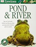 Pond & river