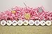 Pink Owl Baby Shower Favor Stickers - 180 Labels