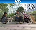 Dogs In The City [HD]: Don't Give Me The Drool [HD]