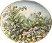 The Forget-Me-Not Fairy Plate by Cicely Mary Barker