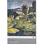 Wide Sargasso Sea by Jean Rhys