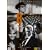 8 1/2 (Special Edition, 2 DVDs)