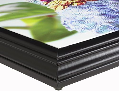 Limited Edition 16x20 Framed Canvas Photo-Art Entitled Wood Duck In Mist