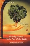 Healing The Soul In The Age Of The Brain Why Medication Isnt Enough