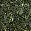 sencha green tea