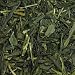 sencha green tea