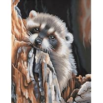 Paint by Number Daydreaming Raccoon