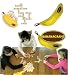 Bananagrams