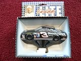 Dale Earnhardt Lite