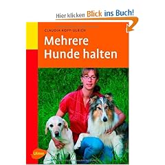 Mehrere Hunde halten
