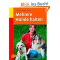 Mehrere Hunde halten