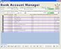 The Bank Account Manager