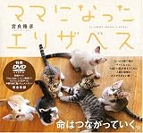 イメージ: ママになったエリザベス