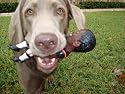 The Official Vick's Dog Chew Toy