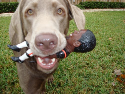 The Official Vick’s Dog Chew Toy