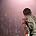 David Archuleta - Fairfax, Virginia Show