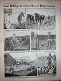 1918 WW1 Farming Holbeach Crown Potatoes Pigs Ragsdell