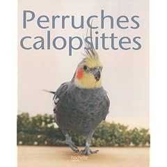Perruche calopsitte