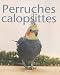 Perruche calopsitte