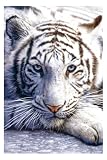 White Tiger Poster