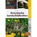 Griechische Landschildkr�ten: Pflege und Vermehrung