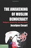 The awakening of Muslim Democaracy : religion, modernity, and the state