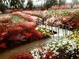 \"Monet's
