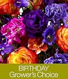Birthday Growers