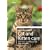 Cat and Kitten Care (Collins Need to Know?)