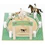 Le Toy Van Dressage Ring