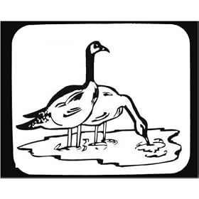 Decorated Mouse Pad with "black and white", ducks, Canada, lake, "North America", drinking, geese, birds, waading, pond