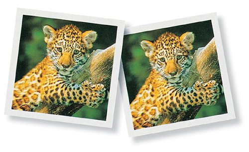 Imagen 4 de Ravensbuger 23013- Viaje de memoria: Los animales y sus crías (versión alemana)