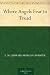 Books : Where Angels Fear to Tread
