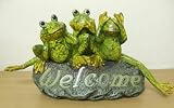 Review Academy 800/8571B / Glowing Welcome Stone