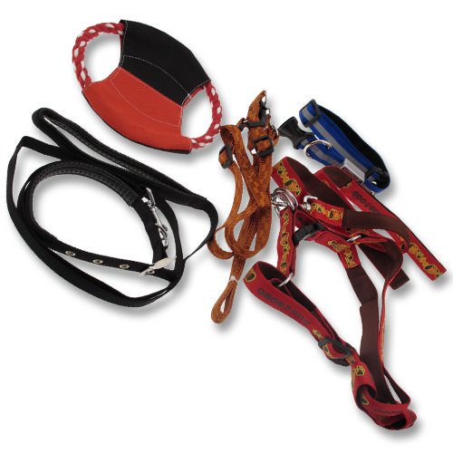 5 er SET Leine Hundeleine LED Halsband Katzenleine S2