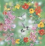 Hummingbirds - Medium