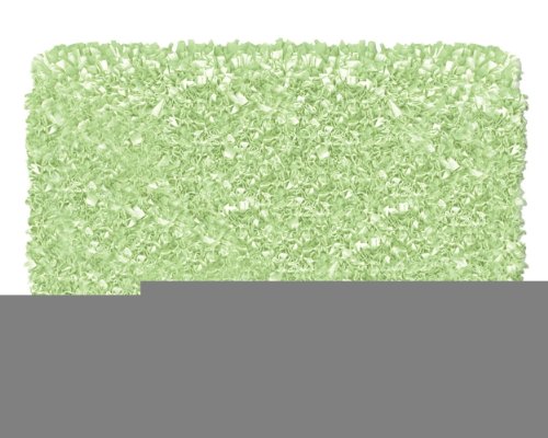 Shaggy Raggy Sage Rug Size: 2.8' x 4.8'
