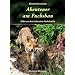 Abenteuer am Fuchsbau: Bilder aus dem Leben einer Fuchsfamilie