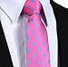 SetSense Men's Polka Dot Jacquard Woven Tie Necktie Set