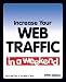 Increase Your Web Traffic in a Weekend