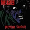 Psycho Junior