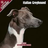 2009 Italian Greyhound Wall Calendar